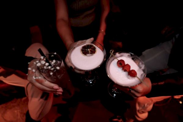 Three people are holding cocktails with various garnishes in a dimly lit setting, creating a festive atmosphere.