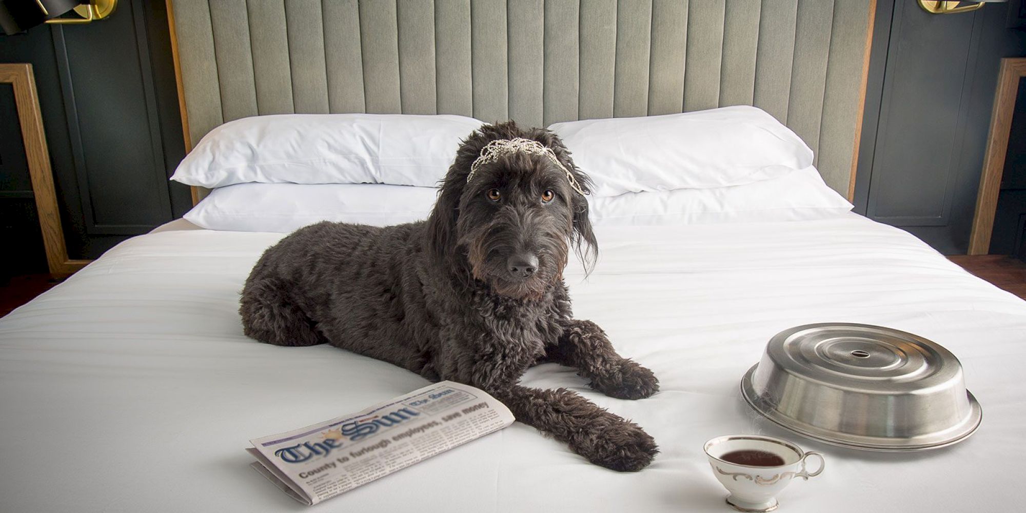 A dog is lying on a bed with a newspaper, a cup, and a covered dish beside it, creating a cozy and homely atmosphere.