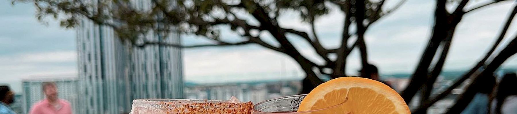 Two hands holding cocktails with citrus garnishes, clinking glasses on a rooftop with a tree and city view in the background.